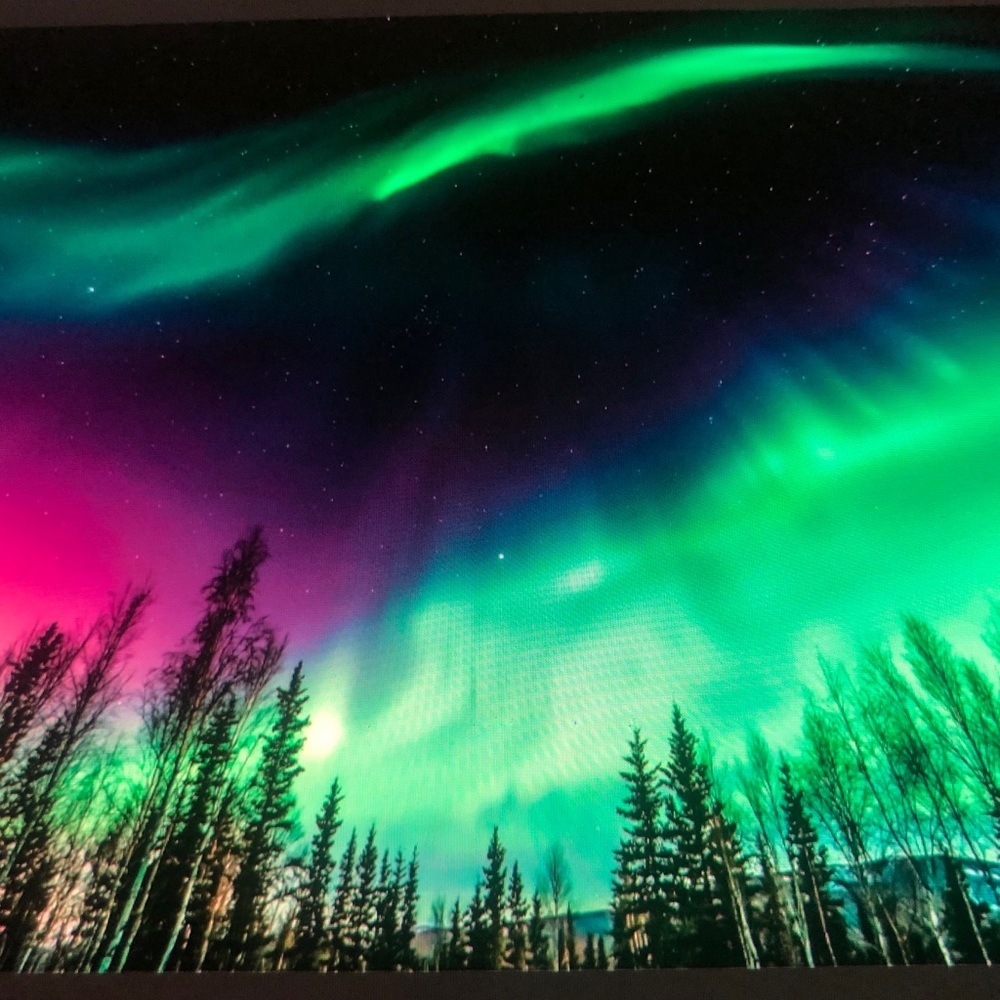 Meet your Posher, Aisha